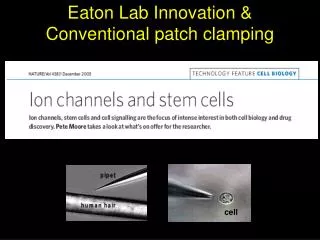 Eaton Lab Innovation &amp; Conventional patch clamping