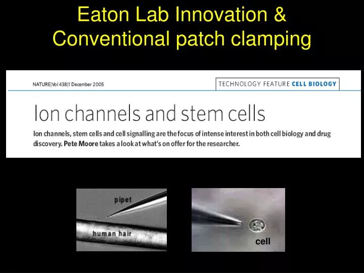 eaton lab innovation conventional patch clamping
