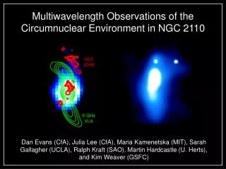 Multiwavelength Observations of the Circumnuclear Environment in NGC 2110