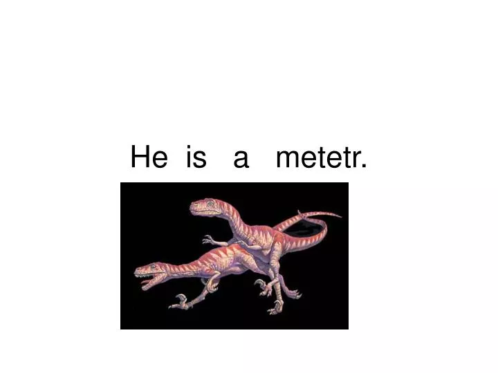 he is a metetr