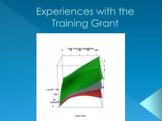 Experiences with the Training Grant