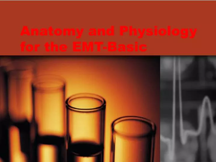 anatomy and physiology for the emt basic