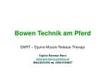 Bowen Technik am Pferd - slide 1