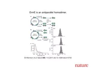 EA Morrison et al . Nature 000 , 1 - 6 (2011) doi:10.1038/nature10703