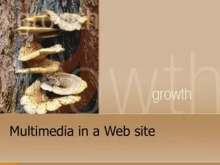 Multimedia in a Web site