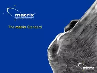 The matrix Standard