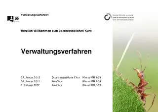 verwaltungsverfahren