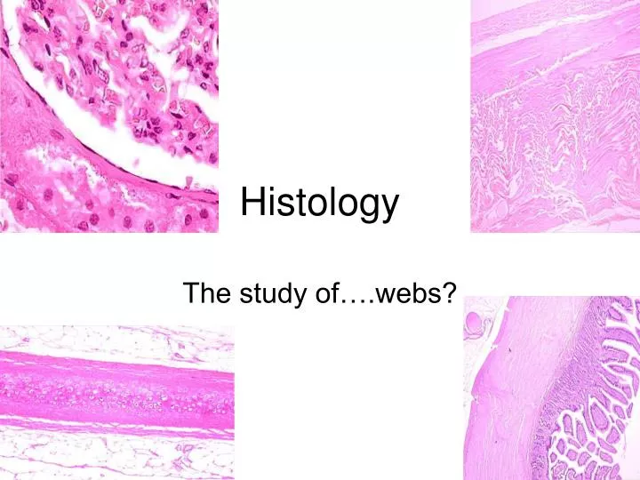 histology