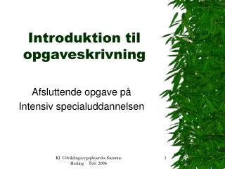 introduktion til opgaveskrivning