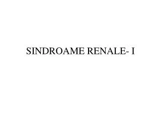 sindroame renale i