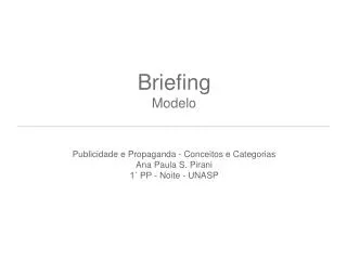 briefing modelo