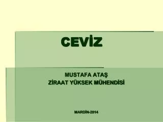cev z