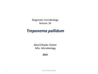 Diagnostic microbiology lecture: 16 Treponema pallidum Abed ElKader Elottol MSc. Microbiology