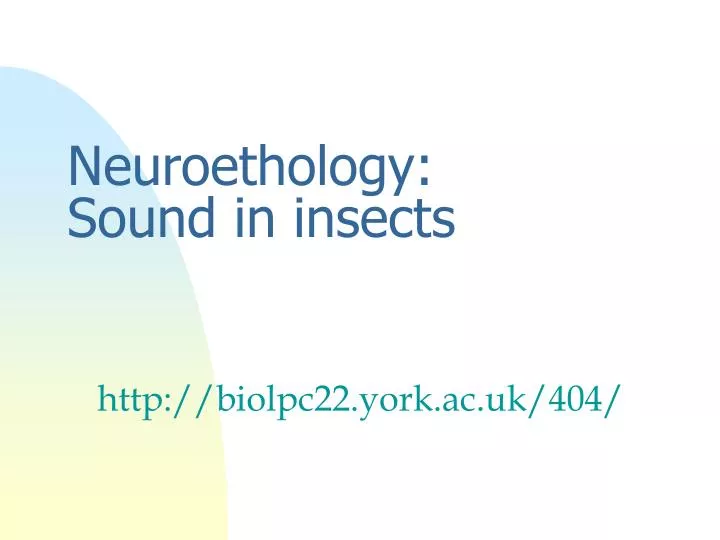 neuroethology sound in insects