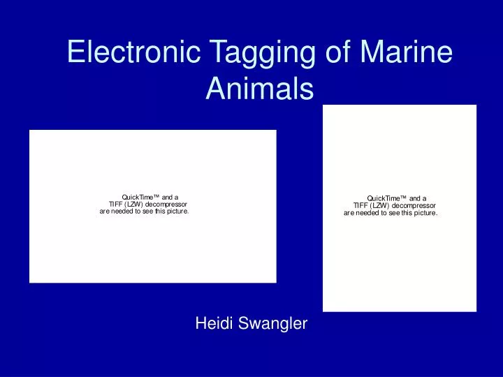 electronic tagging of marine animals