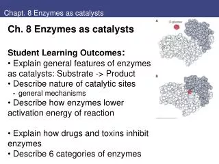 Chapt. 8 Enzymes as catalysts