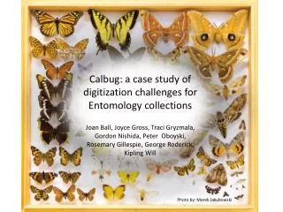 Calbug : a case study of digitization challenges for Entomology collections