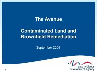 The Avenue Contaminated Land and Brownfield Remediation
