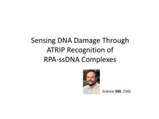 Sensing DNA Damage Through ATRIP Recognition of RPA-ssDNA Complexes