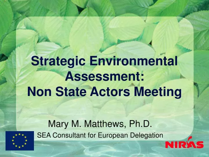 strategic environmental assessment non state actors meeting