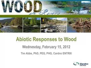 Abiotic Responses to Wood Wednesday, February 15, 2012 Tim Abbe, PhD, PEG, PHG, Cardno ENTRIX