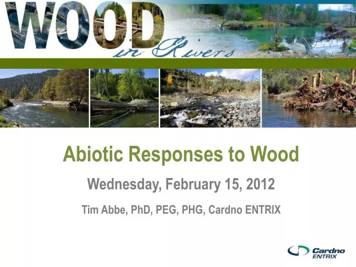 abiotic responses to wood wednesday february 15 2012 tim abbe phd peg phg cardno entrix