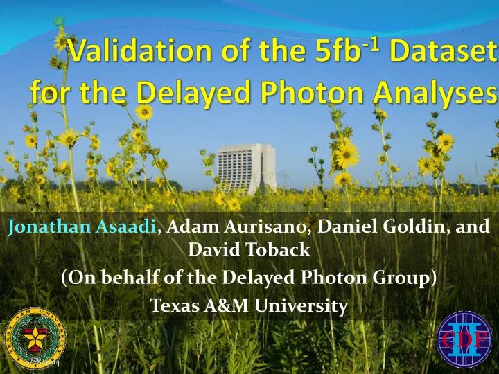 validation of the 5fb 1 dataset for the delayed photon analyses