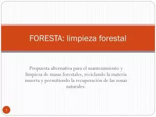 foresta limpieza forestal