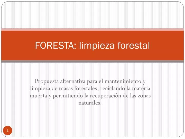 foresta limpieza forestal