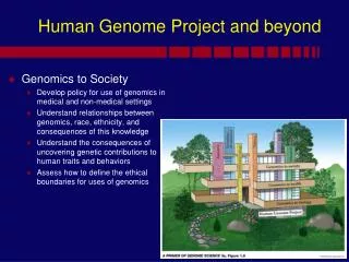 Human Genome Project and beyond