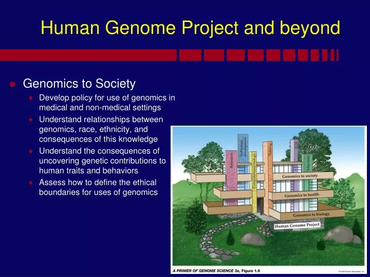 human genome project and beyond