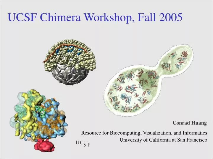 ucsf chimera workshop fall 2005
