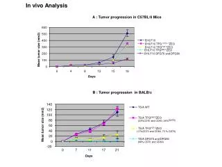 A : Tumor progression in C57BL/6 Mice