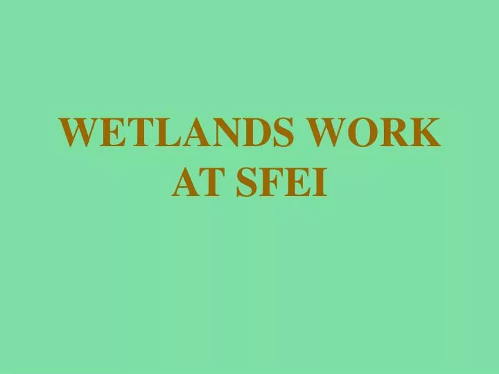 wetlands work at sfei