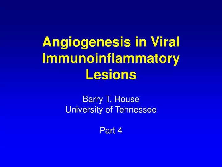 angiogenesis in viral immunoinflammatory lesions