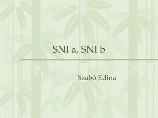 sni a sni b