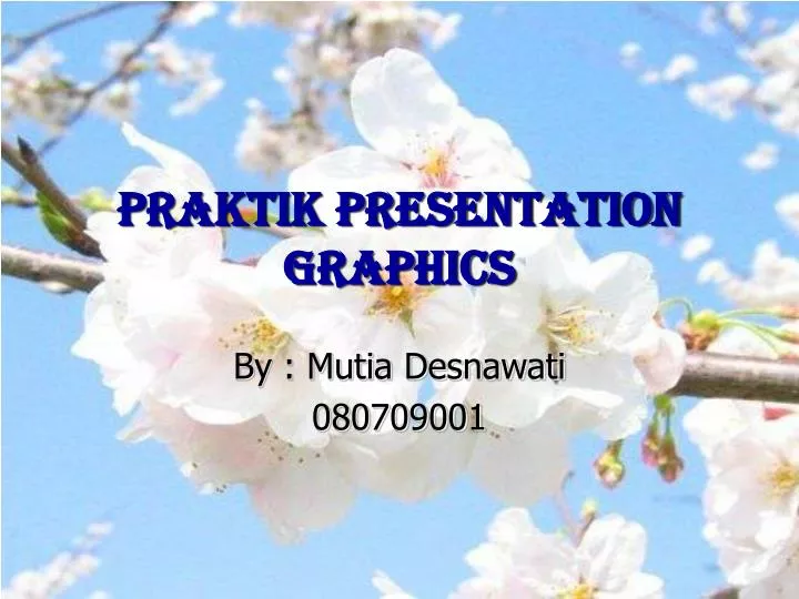 praktik presentation graphics