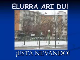 elurra ari du