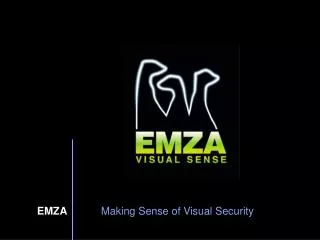 EMZA 	Making Sense of Visual Security