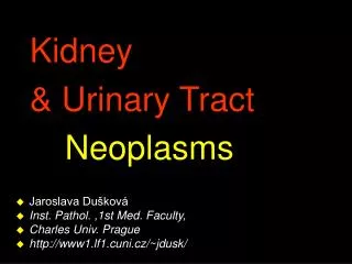 Kidney &amp; Urinary Tract 			 Neoplasms