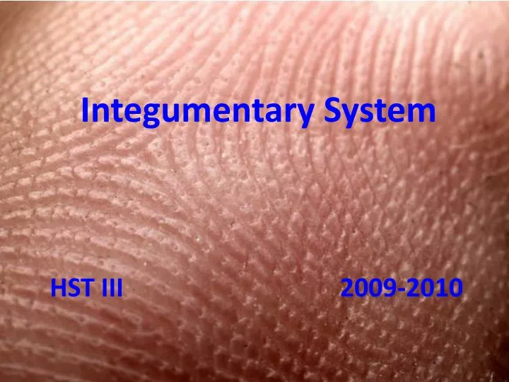 integumentary system