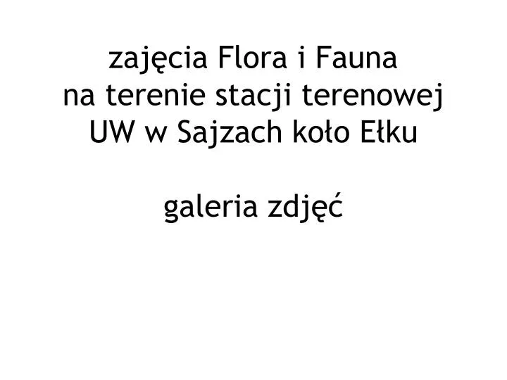 zaj cia flora i fauna na terenie stacji terenowej uw w sajzach ko o e ku galeria zdj