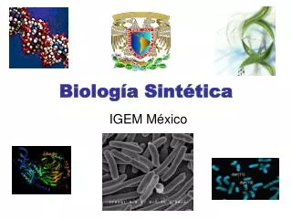 biolog a sint tica