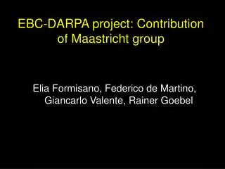 EBC-DARPA project: Contribution of Maastricht group