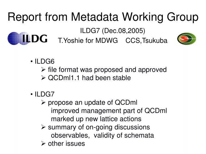 report from metadata working group