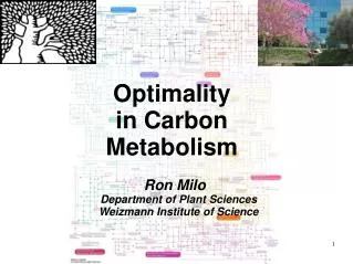 Optimality in Carbon Metabolism