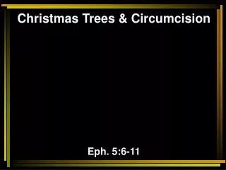 Christmas Trees &amp; Circumcision Eph. 5:6-11