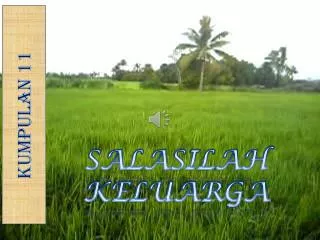 kumpulan 11