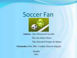 soccer fan