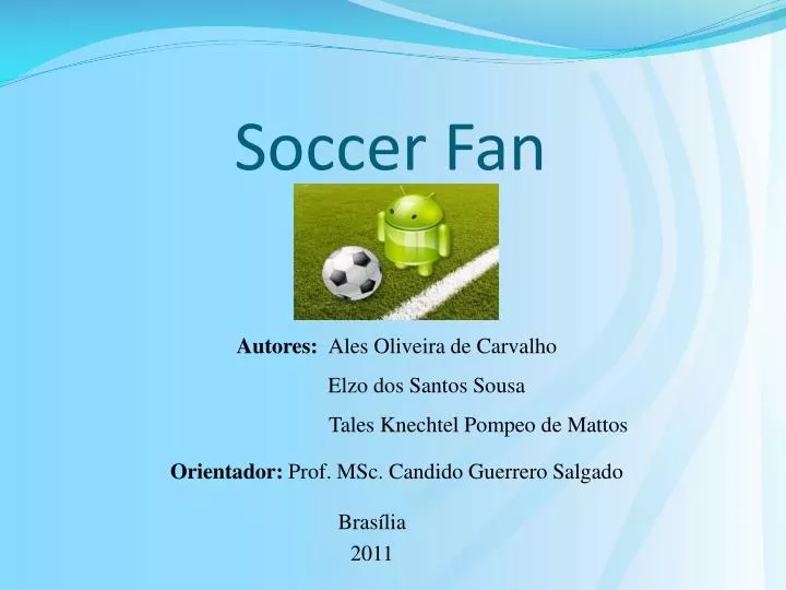 soccer fan